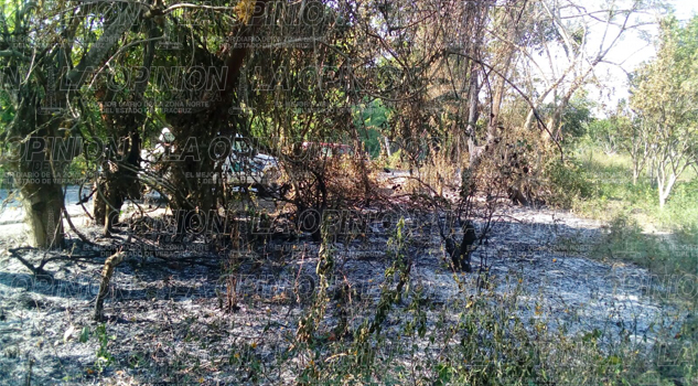 Alerta PC por ola de incendios Alerta PC por ola de incendios