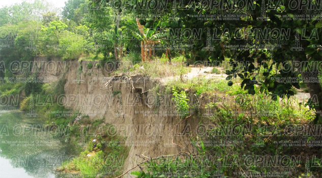 Destinado a la desaparición el ejido San Antonio Coronado Destinado a la desaparición el ejido San Antonio Coronado