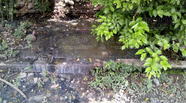 Drenaje inservible Drenaje inservible