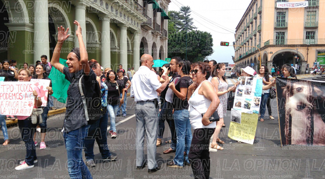 Exigen castigo para quienes maltrataron a la perra Shelby Exigen castigo a los maltratadores de la perra Shelby