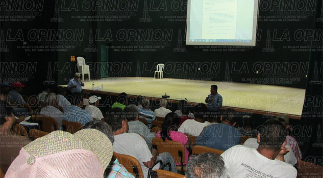 Fuertes estragos en la apicultura Fuertes estragos en la apicultura