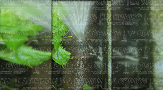 Fuga de agua en la Zapata Fuga de agua en la Zapata