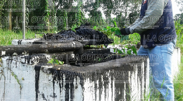 Fuga de hidrocarburo en el arroyo Salsipuedes
