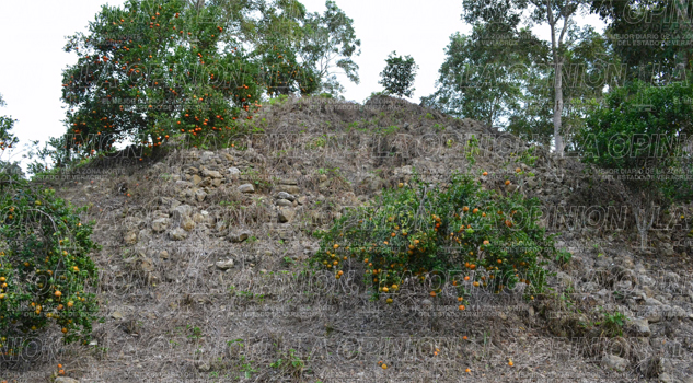 Hallazgo arqueológico Hallazgo arqueológico