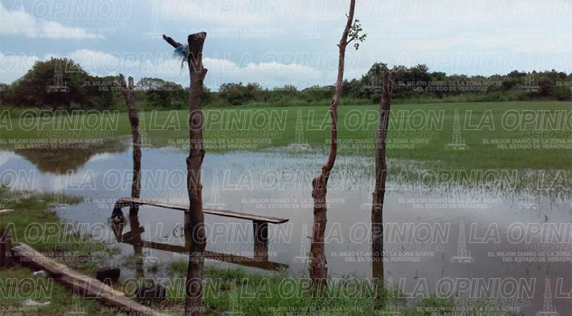 Lluvia beneficia a productores Lluvia beneficia a productores