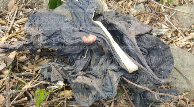 Lo hallaron sin vida abajo de un árbol Lo hallaron sin vida abajo de un árbol