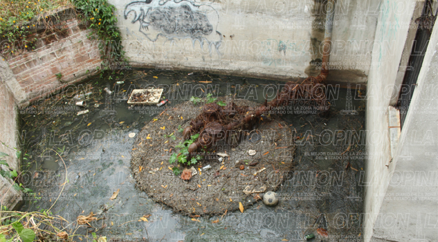 Obsoleta obra es un criadero de moscos Obsoleta obra es un criadero de moscos