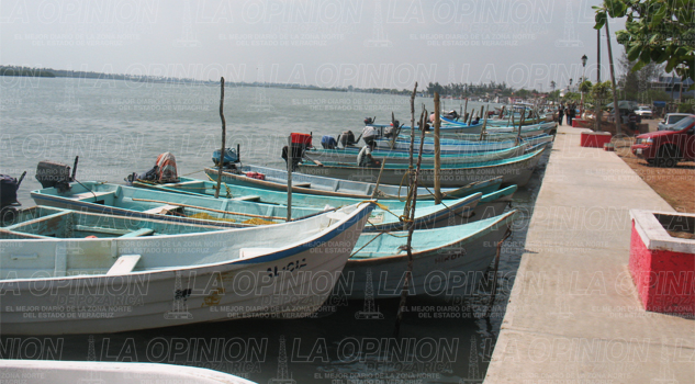 Olvidan créditos para mejorar bodegas pesqueras Olvidan créditos para mejorar las bodegas