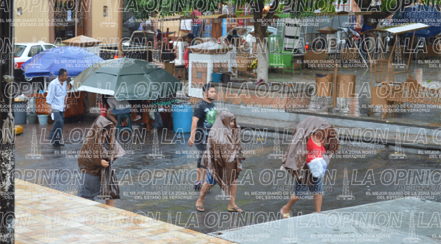 Piden retiro de basura en arroyos Piden retiro de basura en arroyos