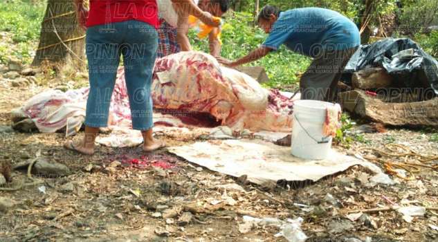 Proliferan rastros clandestinos Proliferan rastros clandestinos