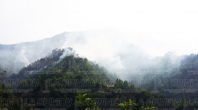 Reportan 164 incendios forestales Reportan 164 incendios forestales