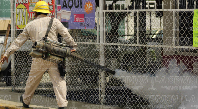 Reportan seis casos de dengue Reportan seis casos de dengue