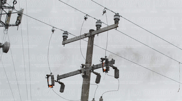 Rompe cables de CFE tras derribar un árbol Rompe cables de CFE tras derribar un árbol