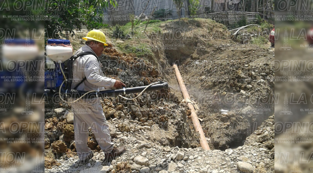 Sin reportes de dengue en zona rural y urbana Sin reportes de dengue en zona rural y urbana