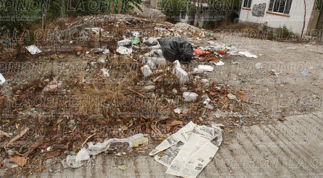 Surgen basureros en varios sectores Surgen basureros en varios sectores