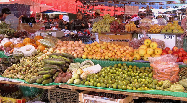 van contra el robo hormiga van contra el robo hormiga