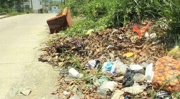 Abundan tiraderos de basura Abundan tiraderos de basura