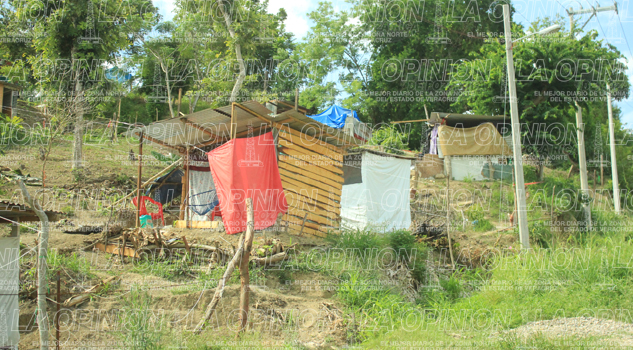 Acusan a Patrimonio de fomentar invasión Acusan a Patrimonio de fomentar invasión