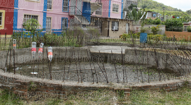 Atienden casos de criaderos de mosco Atienden casos de criaderos de mosco