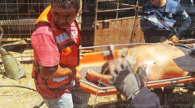 Caen a pozo; muere uno Caen a pozo; muere uno