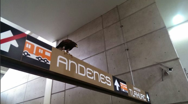 ¿Dónde se paró el águila? En la estación Nopalera Ciudad de México Metro Estación Nopalera