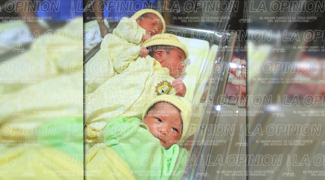 Da a luz a trillizos en la clínica Fausto Dávila Da a luz a trillizos en la Fausto Dávila