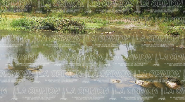 Decenas de viviendas en zona de alto riesgo Decenas de viviendas en zona de alto riesgo