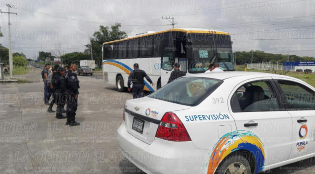 ¡Decomisan marihuana! Decomisan marihuana