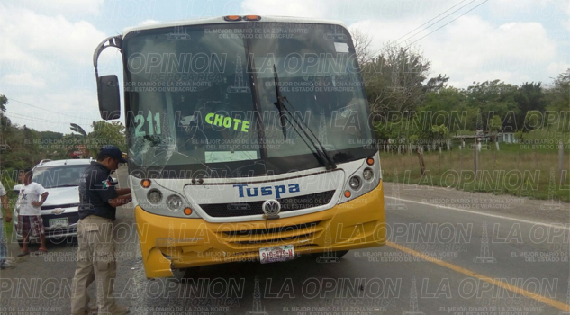 Denuncian lesiones y robo tras ataque a autobús en El Tajín