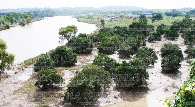 En riesgo, parcelas de 44 localidades En riesgo, parcelas de 44 localidades