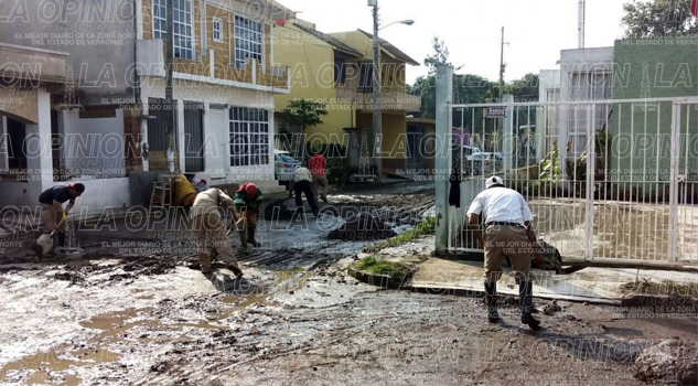 Federación niega apoyo Federación