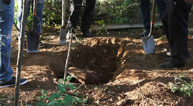 Hallan 14 cuerpos en fosa clandestina de Baja California Sur Hallan 14 cuerpos en fosa clandestina de Baja California Sur