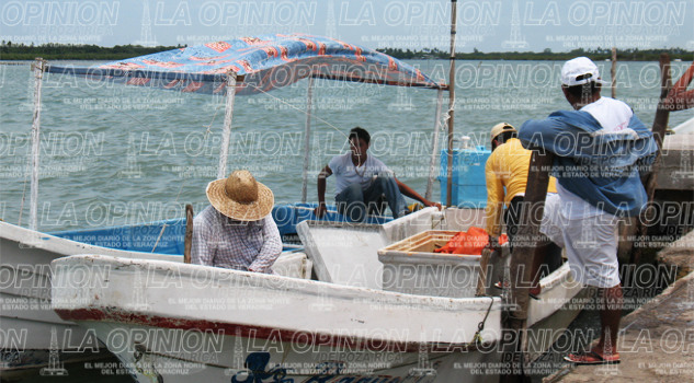 Lejanos apoyos a los pescadores Lejanos apoyos a los pescadores