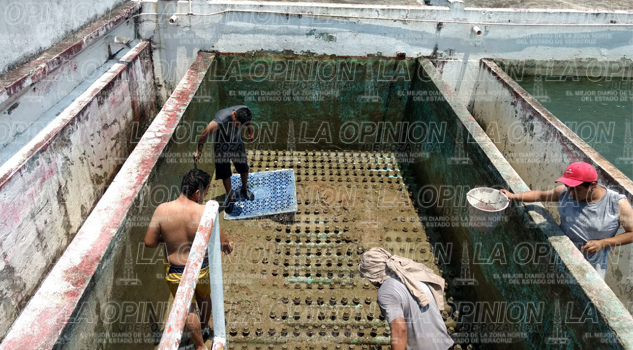 Lluvia deja sin agua a familias Lluvia deja sin agua a familias