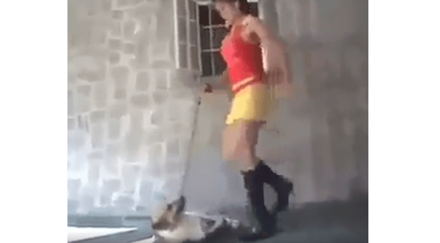 Mujer patea brutalmente a un perrito Mujer patea brutalmente a un perrito