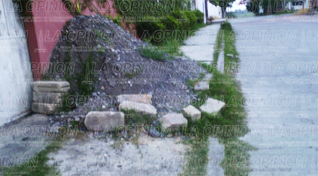 Obstruyen la vía peatonal Obstruyen la vía peatonal