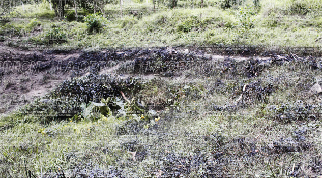 Pemex no cumple Pemex no cumple