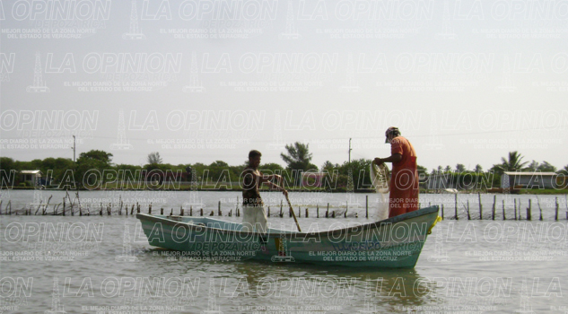 Pescadores a la espera de finalización de veda Pescadores a la espera de finalización de veda