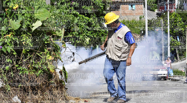 Previenen brote de dengue Previenen brote de dengue