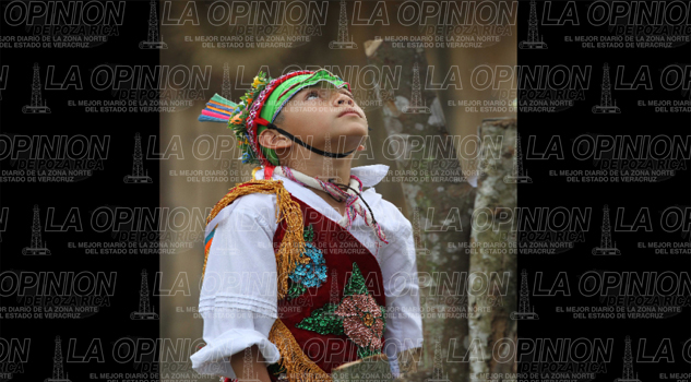 Requieren Voladores aplicados Requieren Voladores aplicados