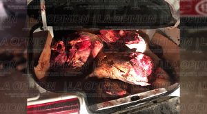 Capturan a taxistas abigeos Tuxpan Res Detienen Taxistas Abigeos