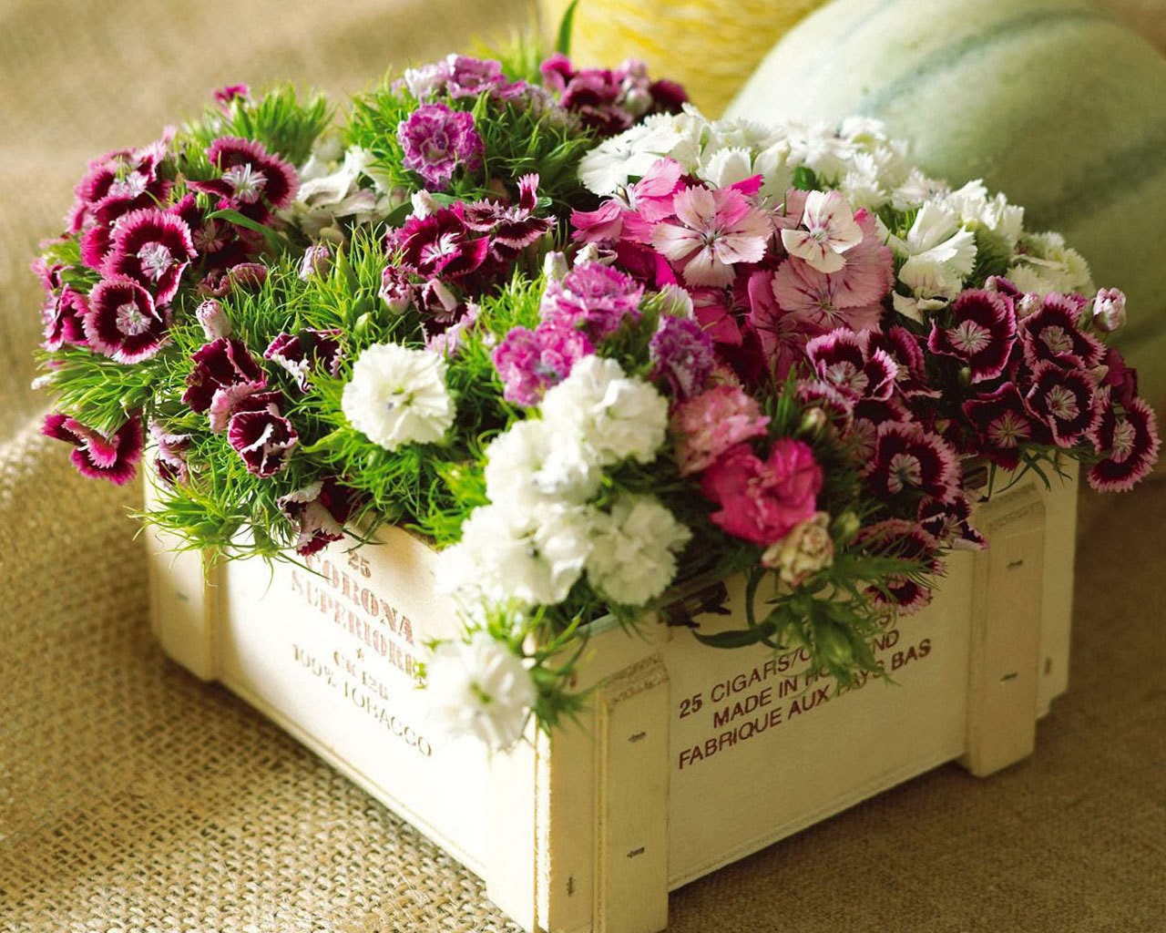 10 cosas que necesitas en tu hogar para feliz (según la ciencia) Flores Frescas