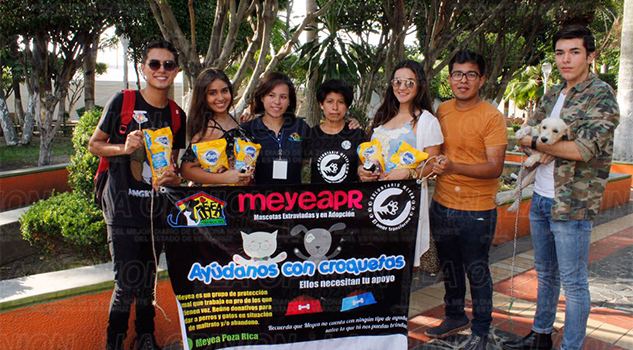 2da Edición del la Feria de Adopción Meyea Poza Rica 2da Edición del la Feria de Adopción Meyea Poza Rica