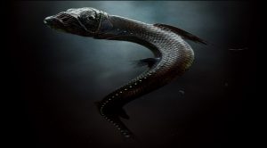 Los 10 animales marinos más raros del mundo