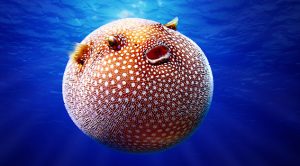 Los 10 animales marinos más raros del mundo