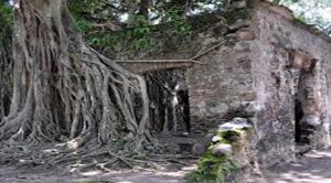 Centros arqueológicos de Veracruz