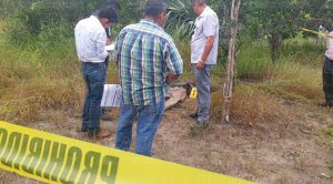 Hallan cadáver en Chichimantla 2 Cadáver Hombre Chichimantla 2 Tihuatlán
