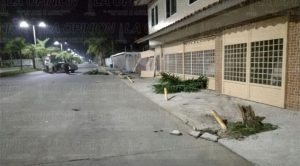 Destroza automóvil al estrellarse en un portón