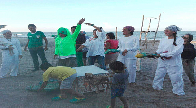 Gustó "Zapatilla, la Tortuga Marina" Gustó Zapatilla, la Tortuga Marina