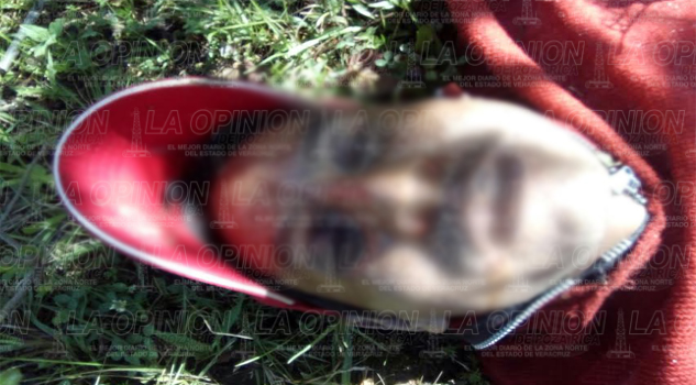 Hallan a 2 ejecutados en la comunidad de La Puga Hallan a 2 ejecutados